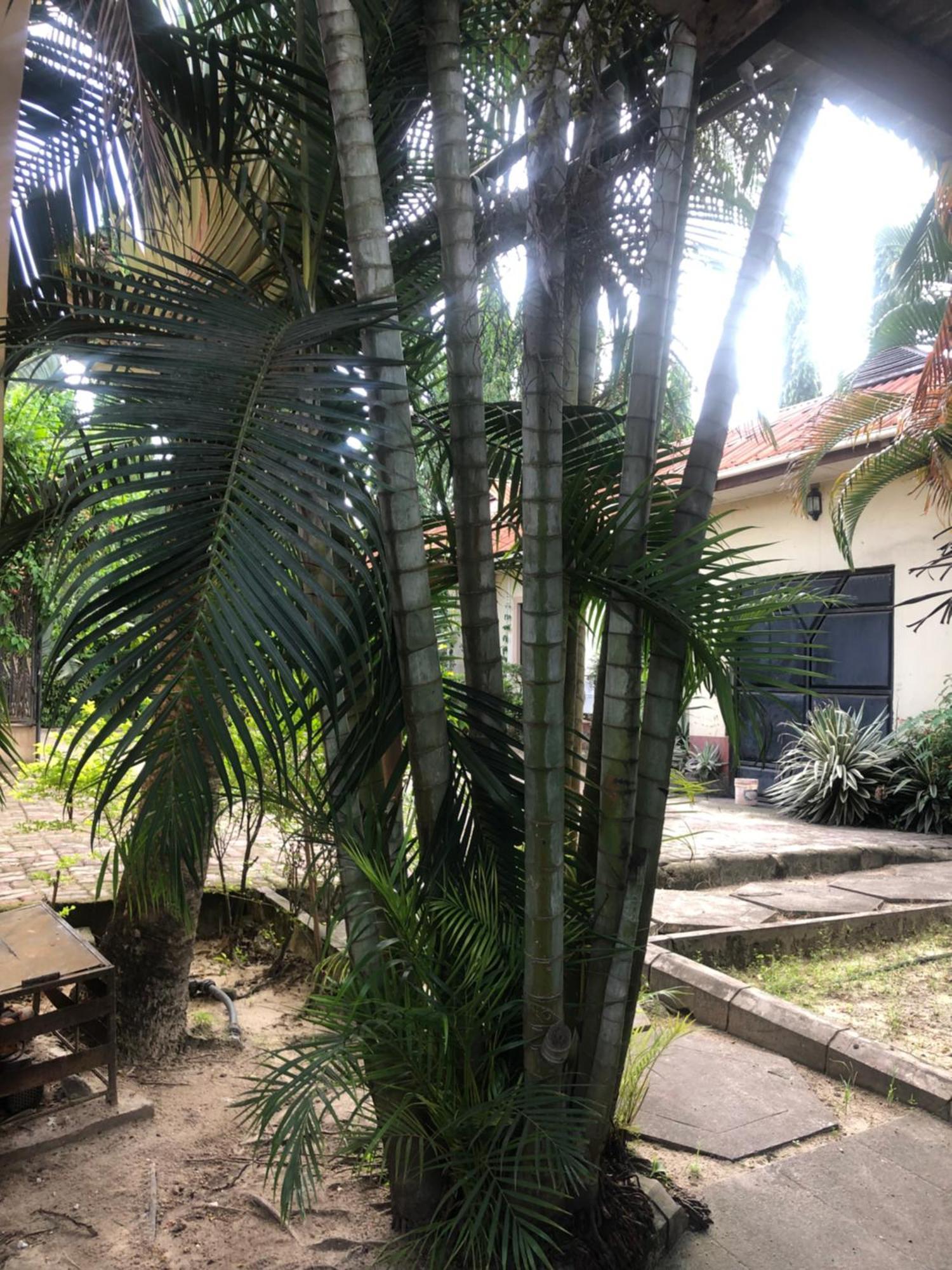 Tatys Homestay Dar es Salaam Eksteriør billede